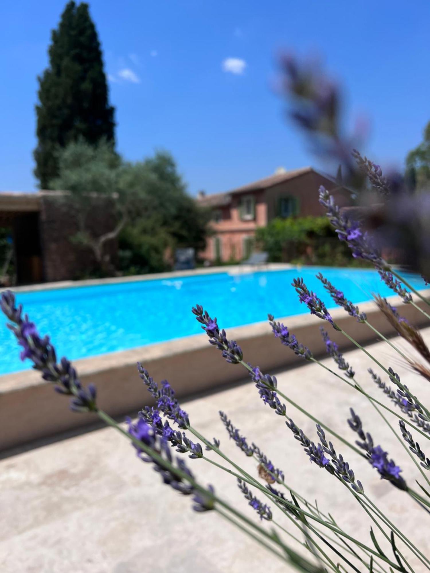Les Hauts de Diane, CUERS var Extérieur photo